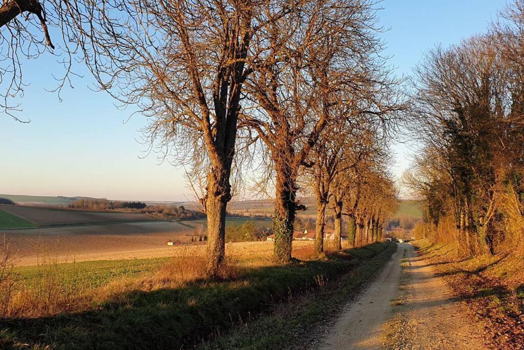 Villa Le Bellevue A 1 H 30 De Paris Et 20 Km De Troyes à Estissac Extérieur photo